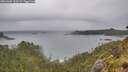 ./images/calvert/foggy-cove/20260609/foggy-cove20260609_125501M.jpg