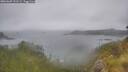 ./images/calvert/foggy-cove/20260609/foggy-cove20260609_131501M.jpg