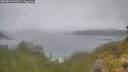 ./images/calvert/foggy-cove/20260609/foggy-cove20260609_132002M.jpg