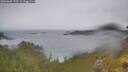 ./images/calvert/foggy-cove/20260609/foggy-cove20260609_132501M.jpg
