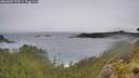 ./images/calvert/foggy-cove/20260609/foggy-cove20260609_133001M.jpg