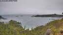 ./images/calvert/foggy-cove/20260609/foggy-cove20260609_134001M.jpg