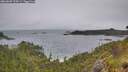 ./images/calvert/foggy-cove/20260609/foggy-cove20260609_134501M.jpg