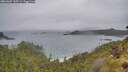 ./images/calvert/foggy-cove/20260609/foggy-cove20260609_135501M.jpg