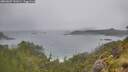 ./images/calvert/foggy-cove/20260609/foggy-cove20260609_141002M.jpg