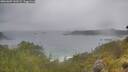 ./images/calvert/foggy-cove/20260609/foggy-cove20260609_141501M.jpg