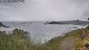 ./images/calvert/foggy-cove/20260609/foggy-cove20260609_142501M.jpg