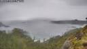 ./images/calvert/foggy-cove/20260609/foggy-cove20260609_143001M.jpg
