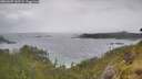 ./images/calvert/foggy-cove/20260609/foggy-cove20260609_143501M.jpg