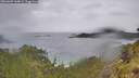 ./images/calvert/foggy-cove/20260609/foggy-cove20260609_144001M.jpg