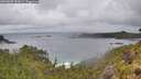 ./images/calvert/foggy-cove/20260609/foggy-cove20260609_151002M.jpg