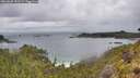 ./images/calvert/foggy-cove/20260609/foggy-cove20260609_151501M.jpg