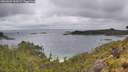 ./images/calvert/foggy-cove/20260609/foggy-cove20260609_152001M.jpg
