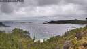./images/calvert/foggy-cove/20260609/foggy-cove20260609_152501M.jpg