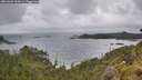 ./images/calvert/foggy-cove/20260609/foggy-cove20260609_153001M.jpg