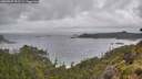 ./images/calvert/foggy-cove/20260609/foggy-cove20260609_153501M.jpg