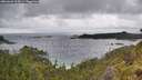 ./images/calvert/foggy-cove/20260609/foggy-cove20260609_154501M.jpg