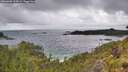 ./images/calvert/foggy-cove/20260609/foggy-cove20260609_155001M.jpg