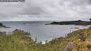 ./images/calvert/foggy-cove/20260609/foggy-cove20260609_155501M.jpg