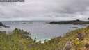 ./images/calvert/foggy-cove/20260609/foggy-cove20260609_160001M.jpg