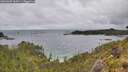 ./images/calvert/foggy-cove/20260609/foggy-cove20260609_160501M.jpg