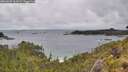 ./images/calvert/foggy-cove/20260609/foggy-cove20260609_161001M.jpg
