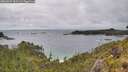 ./images/calvert/foggy-cove/20260609/foggy-cove20260609_161502M.jpg