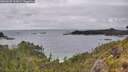 ./images/calvert/foggy-cove/20260609/foggy-cove20260609_163001M.jpg