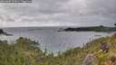 ./images/calvert/foggy-cove/20260609/foggy-cove20260609_173002M.jpg