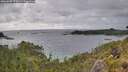 ./images/calvert/foggy-cove/20260609/foggy-cove20260609_173501M.jpg