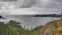 ./images/calvert/foggy-cove/20260609/foggy-cove20260609_175002M.jpg