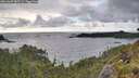 ./images/calvert/foggy-cove/20260609/foggy-cove20260609_185501M.jpg
