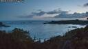 ./images/calvert/foggy-cove/20260610/foggy-cove20260610_044002M.jpg