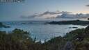 ./images/calvert/foggy-cove/20260610/foggy-cove20260610_044501M.jpg