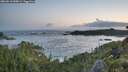 ./images/calvert/foggy-cove/20260610/foggy-cove20260610_050001M.jpg