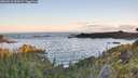 ./images/calvert/foggy-cove/20260610/foggy-cove20260610_054501M.jpg