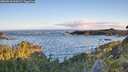 ./images/calvert/foggy-cove/20260610/foggy-cove20260610_062002M.jpg