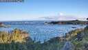 ./images/calvert/foggy-cove/20260610/foggy-cove20260610_063501M.jpg