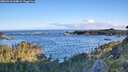 ./images/calvert/foggy-cove/20260610/foggy-cove20260610_064001M.jpg