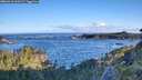 ./images/calvert/foggy-cove/20260610/foggy-cove20260610_064501M.jpg