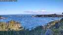 ./images/calvert/foggy-cove/20260610/foggy-cove20260610_065001M.jpg