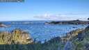./images/calvert/foggy-cove/20260610/foggy-cove20260610_065501M.jpg
