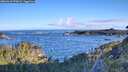 ./images/calvert/foggy-cove/20260610/foggy-cove20260610_070001M.jpg