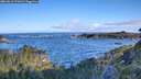./images/calvert/foggy-cove/20260610/foggy-cove20260610_071001M.jpg