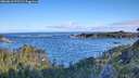 ./images/calvert/foggy-cove/20260610/foggy-cove20260610_071501M.jpg