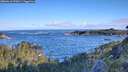 ./images/calvert/foggy-cove/20260610/foggy-cove20260610_072001M.jpg
