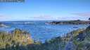 ./images/calvert/foggy-cove/20260610/foggy-cove20260610_072501M.jpg