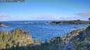 ./images/calvert/foggy-cove/20260610/foggy-cove20260610_073001M.jpg