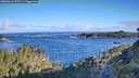 ./images/calvert/foggy-cove/20260610/foggy-cove20260610_073501M.jpg