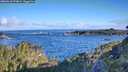 ./images/calvert/foggy-cove/20260610/foggy-cove20260610_074002M.jpg